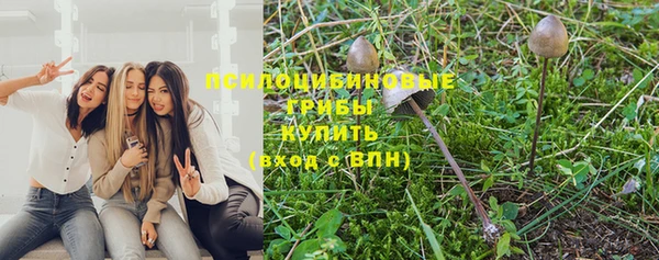 jwh Гусиноозёрск