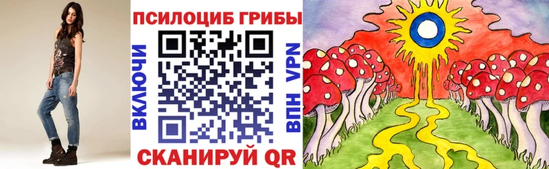 Псилоцибиновые грибы ЛСД  Купить закладки  Рассказово 